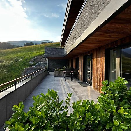 Apartments Oberkofler Hollersbach im Pinzgau Exterior photo
